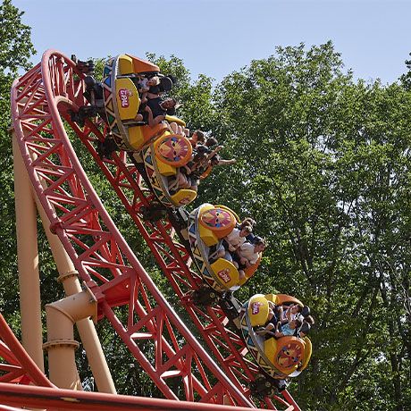 amusement park and animal park le pal auvergne rhone alpes sleep at the zoo in france