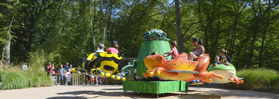 La Ronde des Grenouilles au parc de loisirs Le PAL en Auvergne-Rhône-Alpes