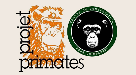 Primates France Project