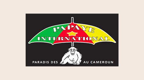 Papaye International