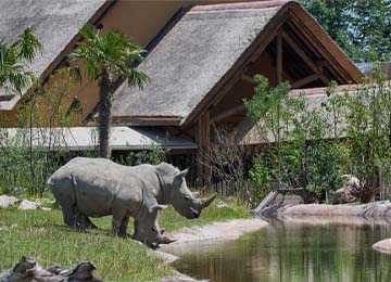 sleep-at-the-zoo-safari-lodge-france-at-le-pal-spend-the-night-in-a