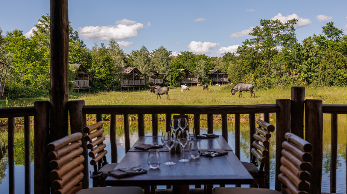 Enjoy an aperitif on the terrace of Tanganika in front of wild animals