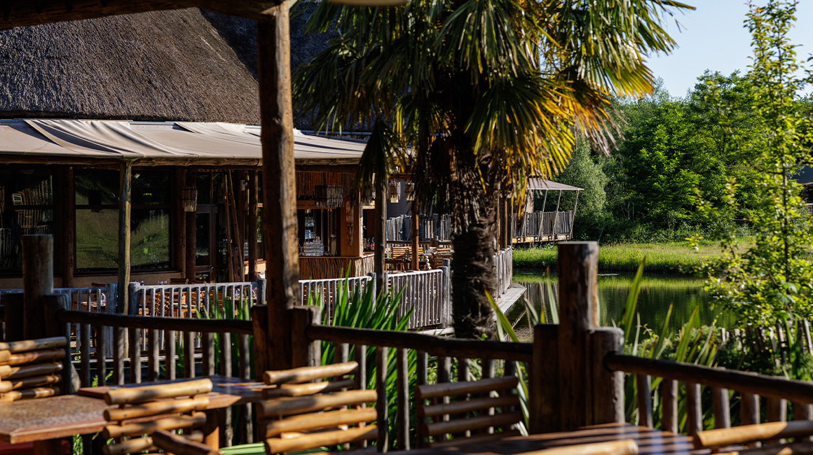 Enjoy a cocktail on the Tanganika's terrace with a view of the most beautiful animals in Africa