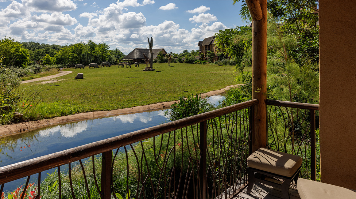 Spend a night alone with the animals of the African savannah