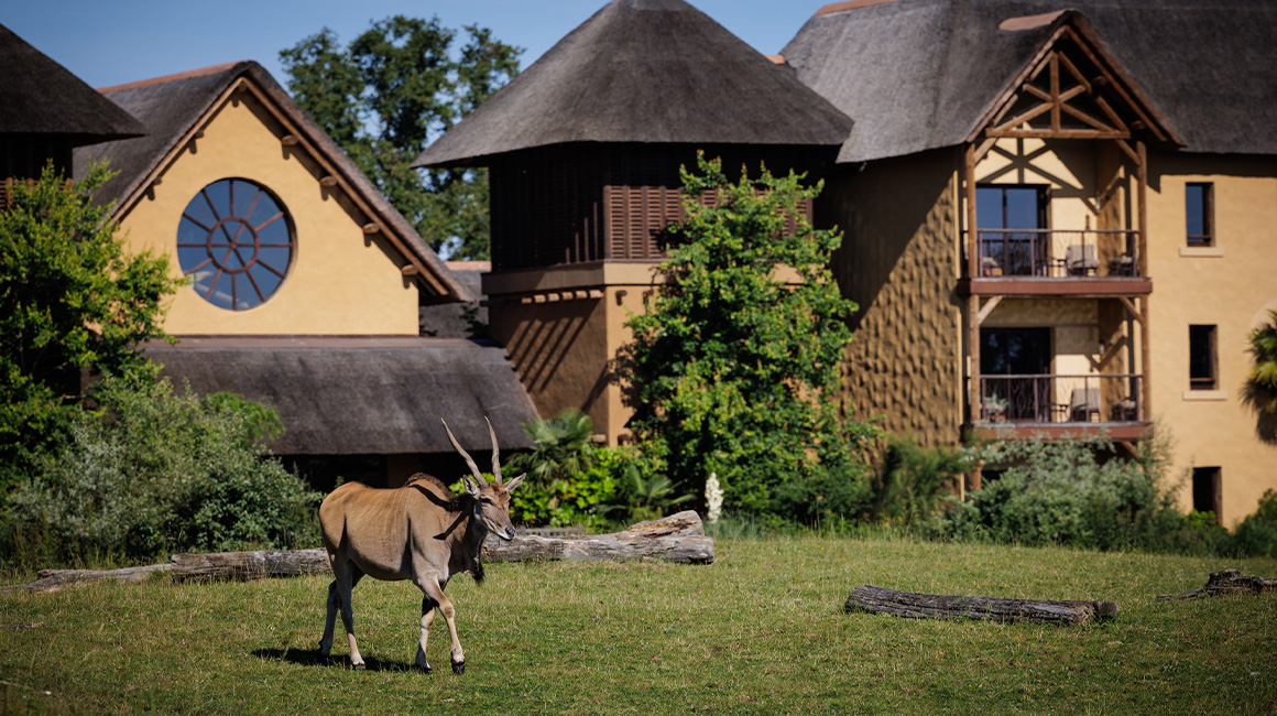 A night in the heart of the African savannah