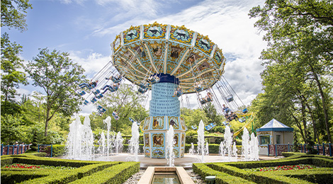 The Swing Ride