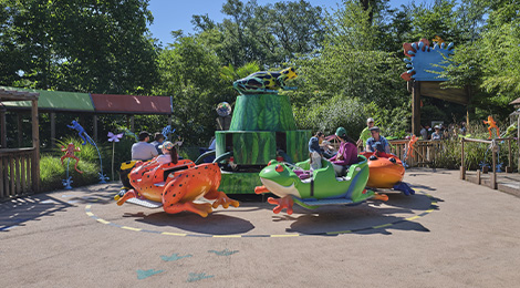 The Frogs' Roundabout