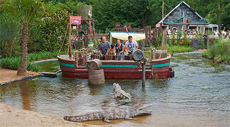 Alligator Bay