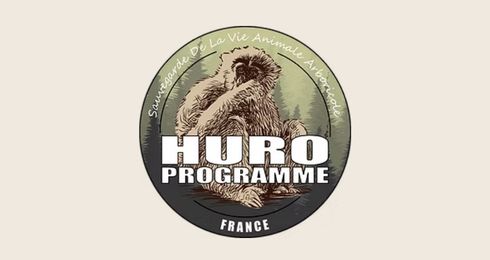 SVAA - Huro Project