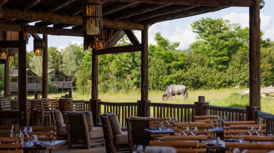And the view is always gorgeous, even from the restaurant!